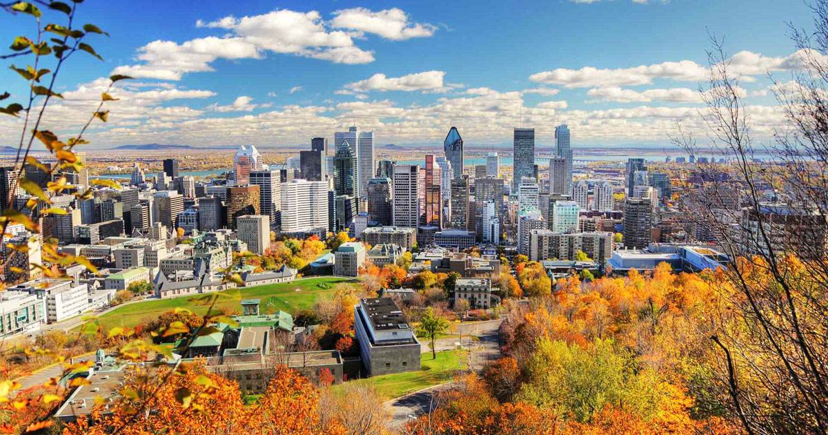Fun things to do in Montreal In 2024